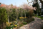 Gasthaus Lehndorf - Frühling_3