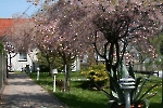 Gasthaus Lehndorf - Frühling