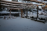Winter in Lehndorf_16